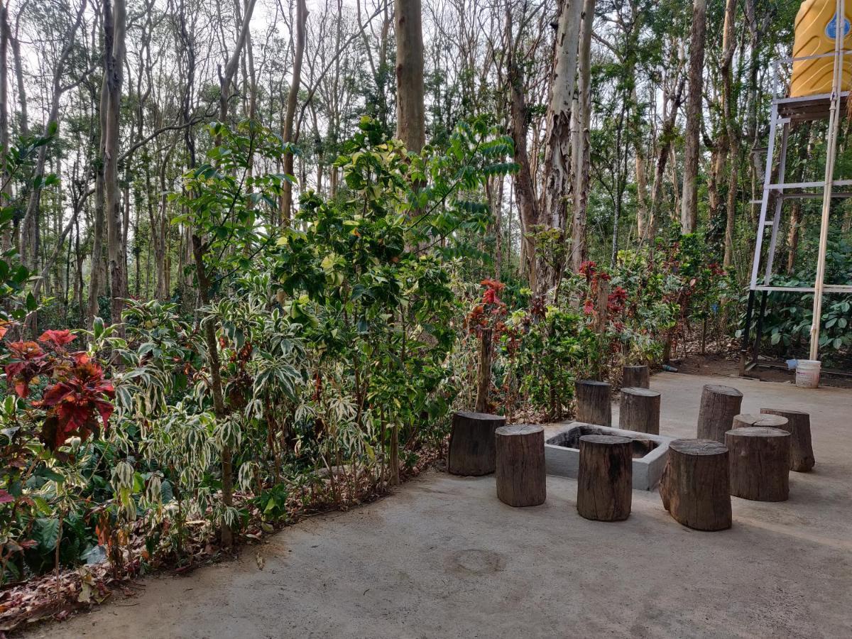 Kaikane Homestay มาดิเครี ภายนอก รูปภาพ